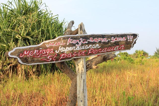 Pari Solata Seaview Homestay Syariah Kepulauan Seribu Kültér fotó