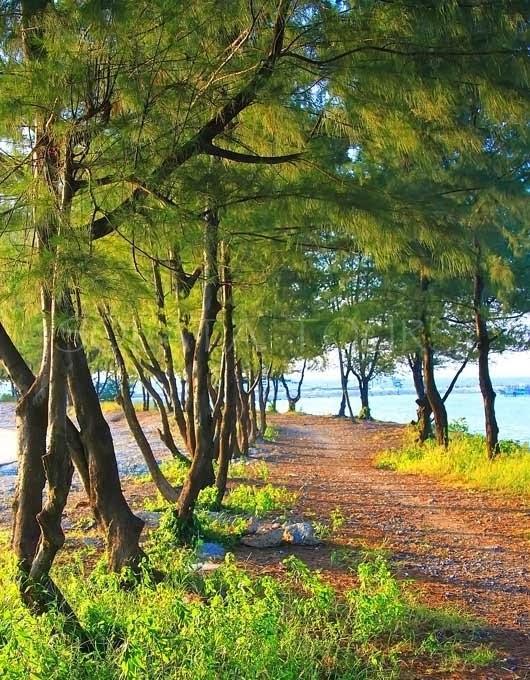 Pari Solata Seaview Homestay Syariah Kepulauan Seribu Kültér fotó
